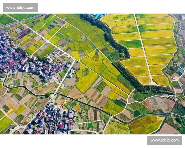 庆丰收迎盛景共绘乡村振兴新画卷传递劳动之美与幸福力量